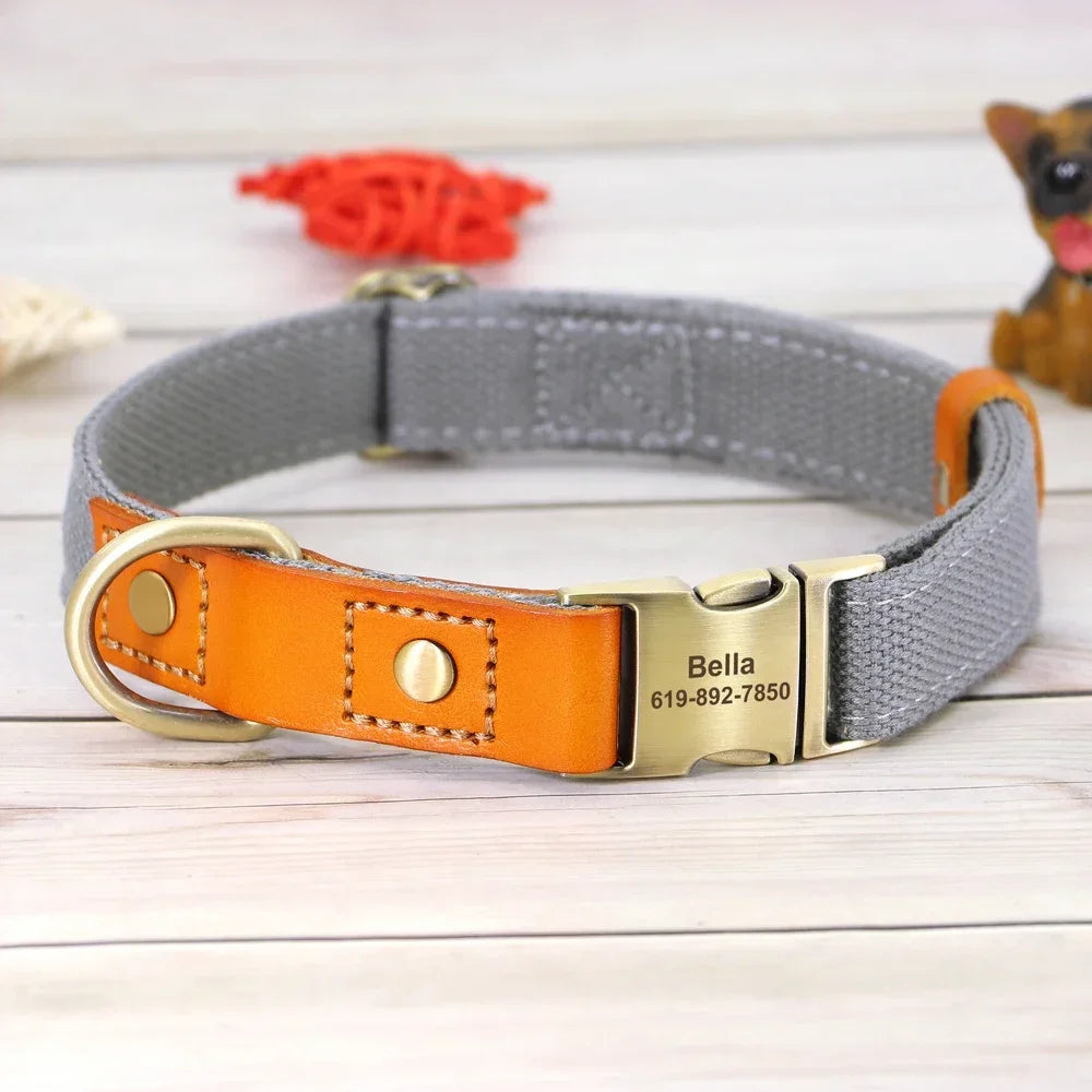 Pet Artist Nylon Dog Collar Leash Set With Name Tag