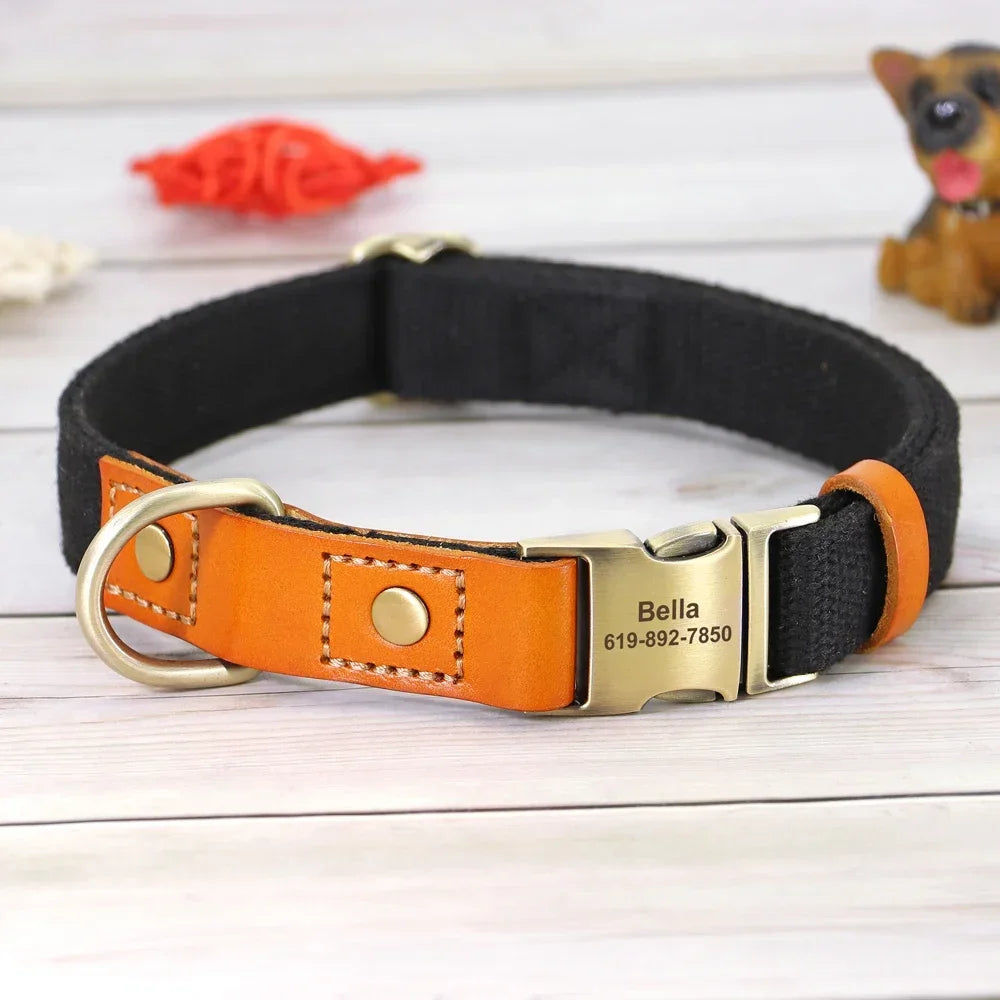 Pet Artist Nylon Dog Collar Leash Set With Name Tag