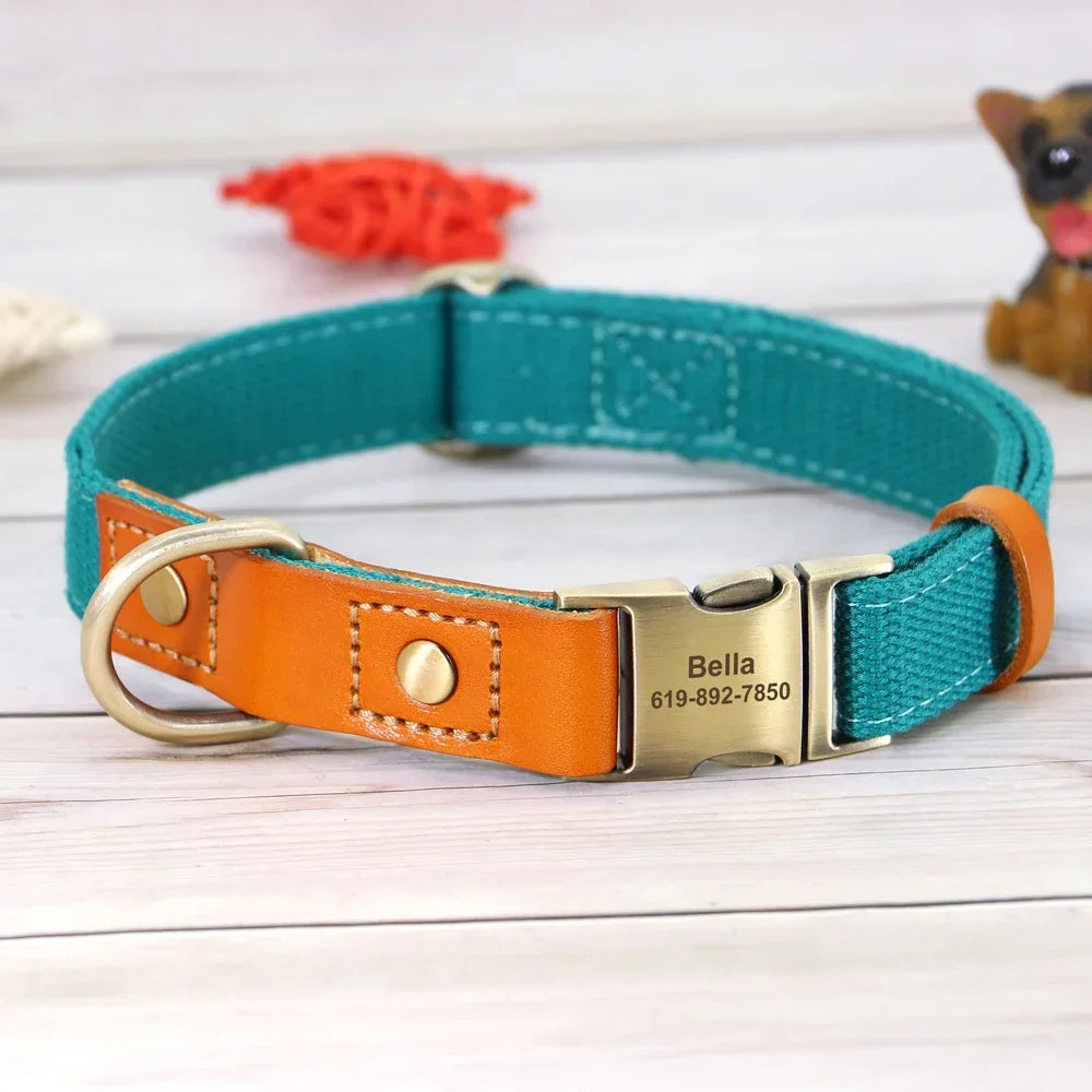 Pet Artist Nylon Dog Collar Leash Set With Name Tag