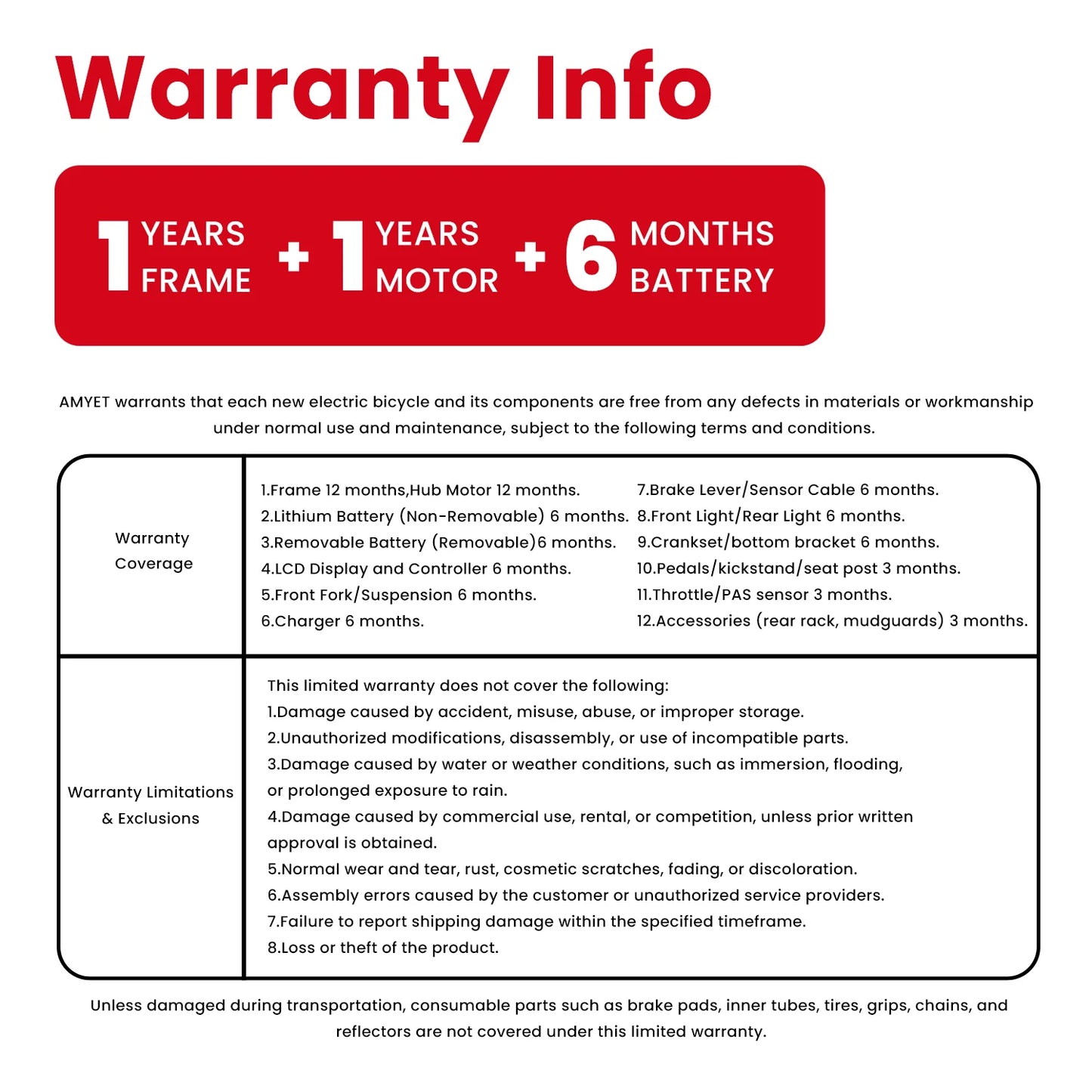 AMYET Electric Bike 1000W Brushless Motor Mountain E-Bike
