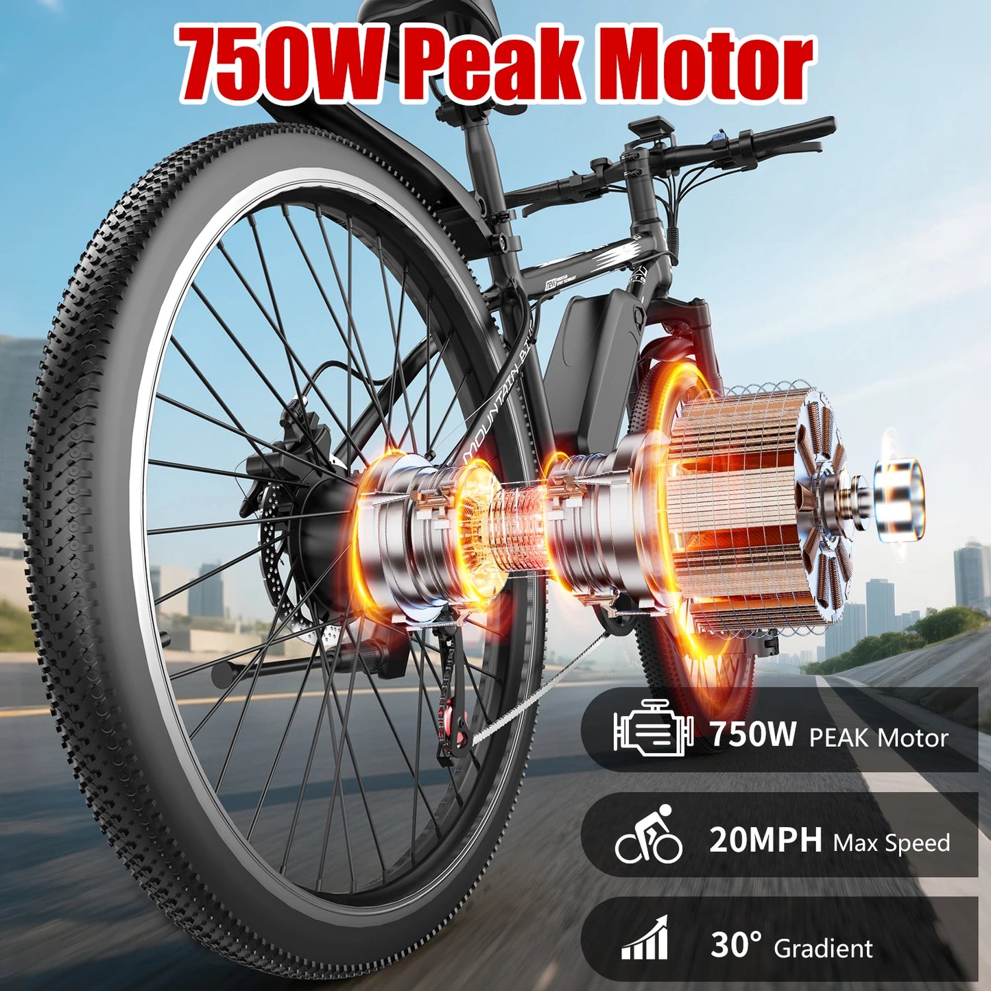 Max Speed Electric Bike Removable 480Wh Battery 750W Peak