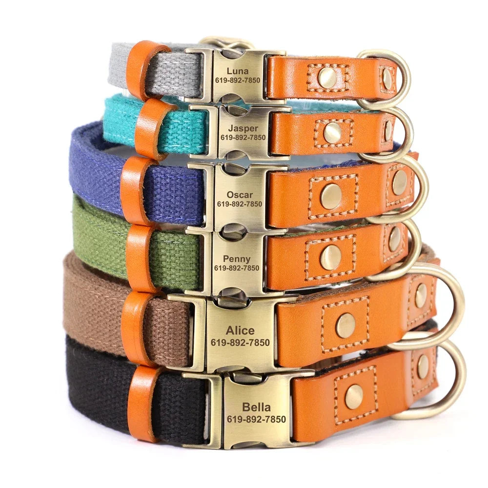 Pet Artist Nylon Dog Collar Leash Set With Name Tag