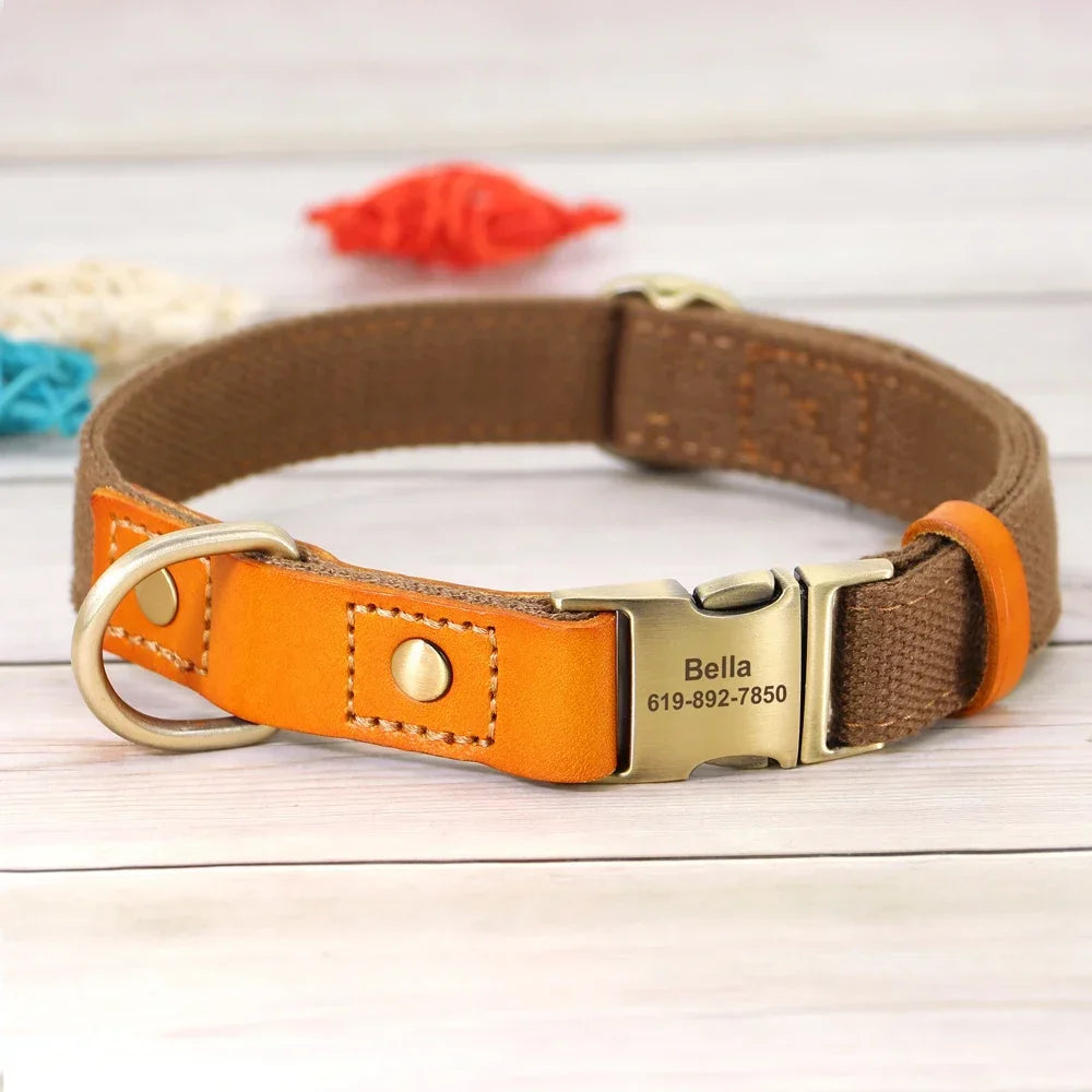 Pet Artist Nylon Dog Collar Leash Set With Name Tag