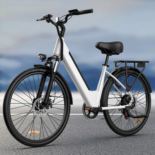 URLIFE Electric Bike Removable Battery For Smooth City Commutes