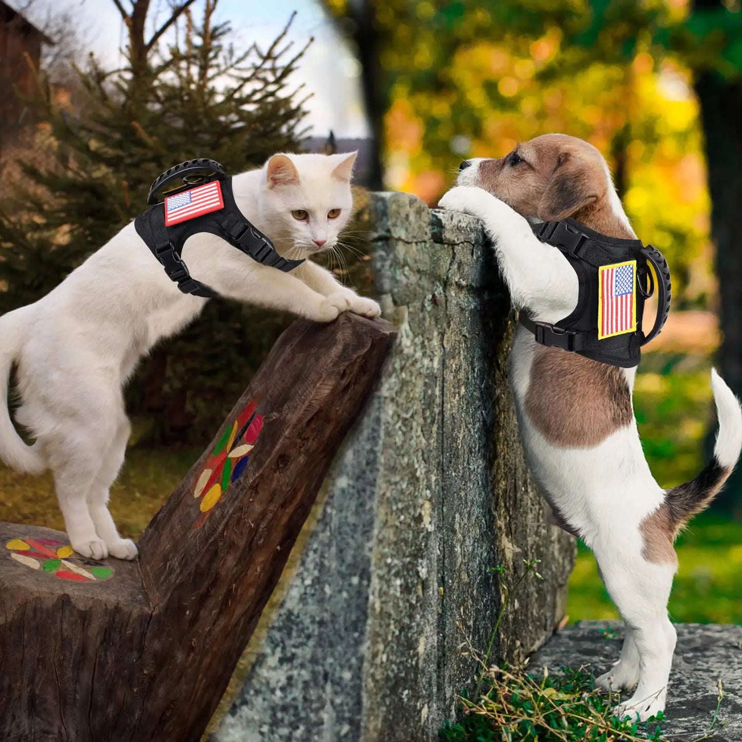 PETRAVELCN Puppy Harness Leash Set Nylon Adjustable for Small Dogs